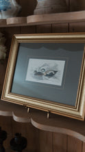 Load image into Gallery viewer, English Engraving “The Eider Duck”
