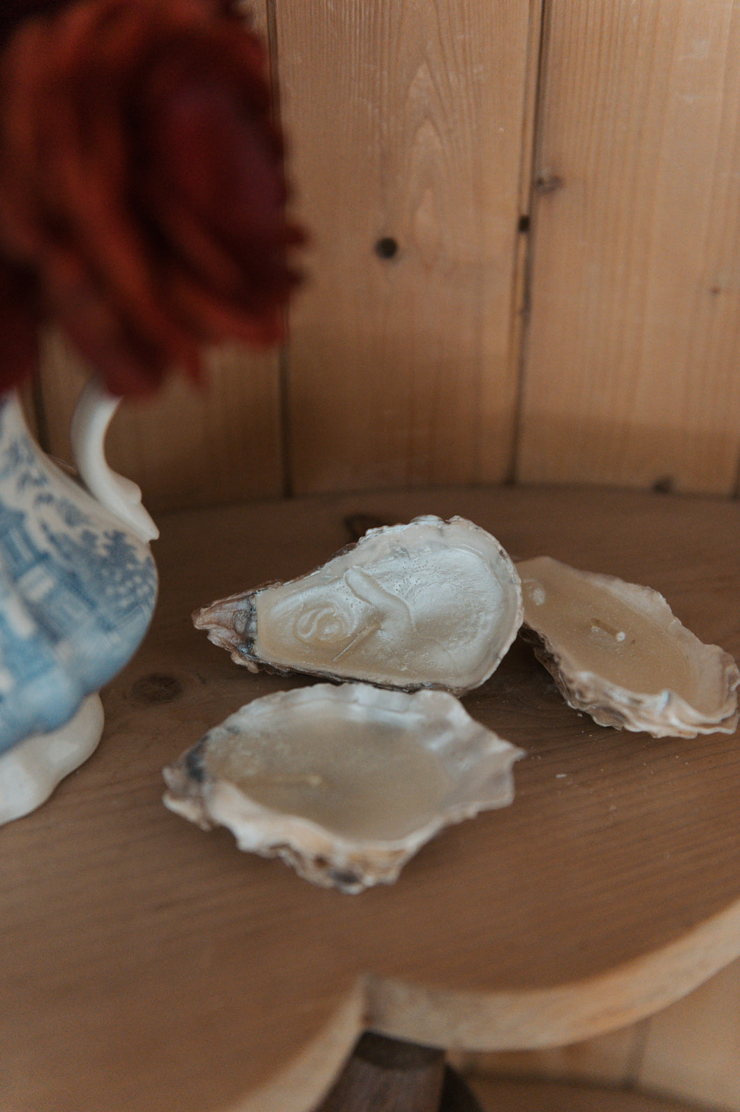 French Oyster Shell Candles