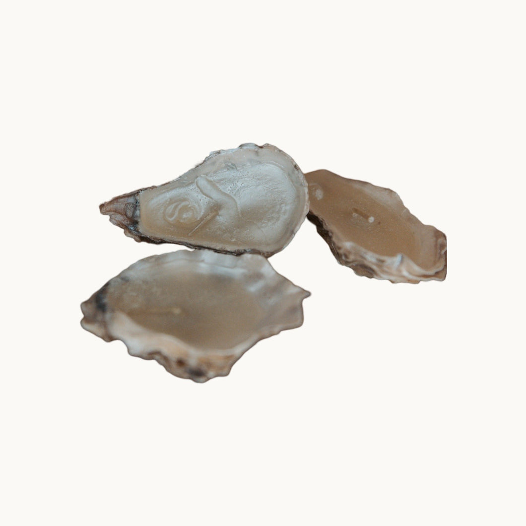 French Oyster Shell Candles